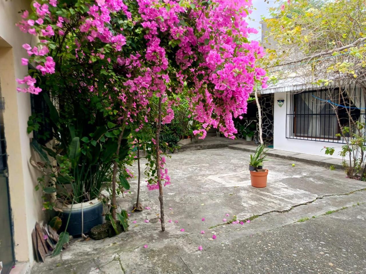 Posada Familiar Papantla Bagian luar foto